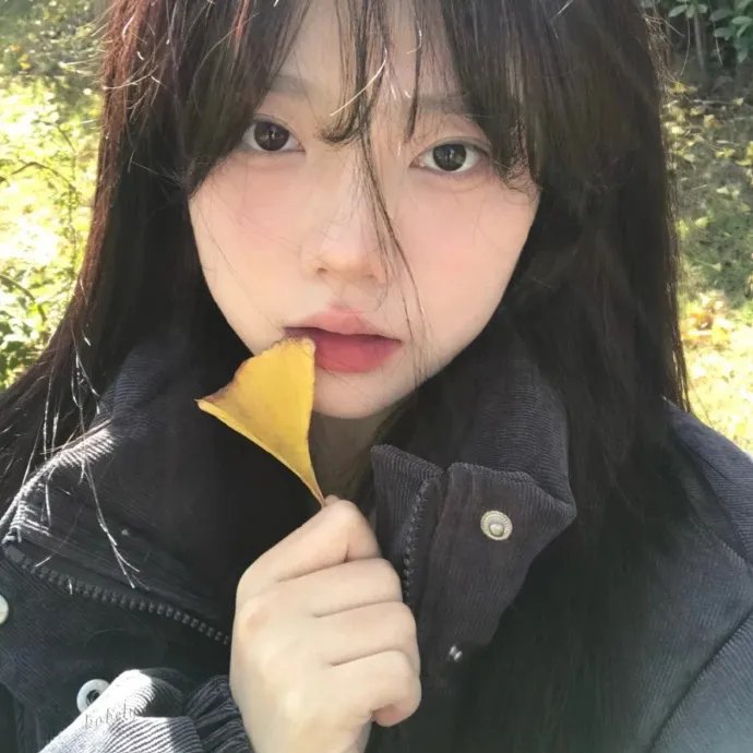 两个英国女孩与欧陆